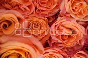 TLAXCALA . VENTA FLORES 10 MAYO