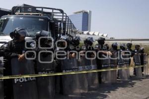 MANIFESTACIÓN CAMPESINOS