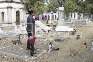 PANTEÓN MUNICIPAL . MAMÁ GATO