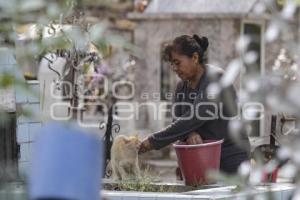 PANTEÓN MUNICIPAL . MAMÁ GATO