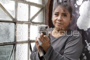 PANTEÓN MUNICIPAL . MAMÁ GATO