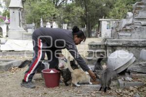 PANTEÓN MUNICIPAL . MAMÁ GATO