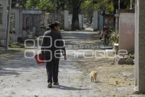 PANTEÓN MUNICIPAL . MAMÁ GATO