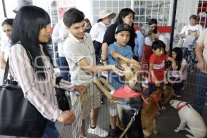 FUNDACIÓN CUENTA CONMIGO