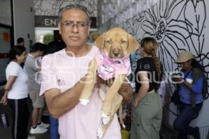 FUNDACIÓN CUENTA CONMIGO