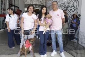 FUNDACIÓN CUENTA CONMIGO