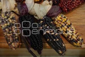 TLAXCALA . FERIA DEL MAÍZ