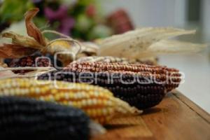 TLAXCALA . FERIA DEL MAÍZ