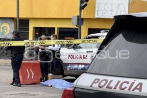 NOTA ROJA . MUJER ATROPELLADA