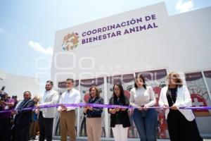 TLAXCALA . CLÍNICA DE BIENESTAR ANIMAL