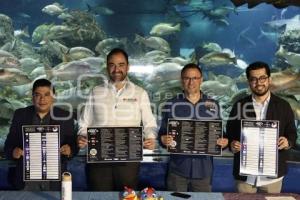 AYUNTAMIENTO . NOCHE DE MUSEOS