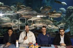 AYUNTAMIENTO . NOCHE DE MUSEOS