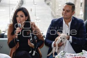 AYUNTAMIENTO . CARRERA LOMITOS IMPARABLES