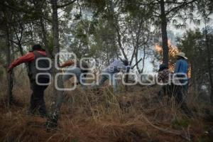 TLAXCALA . INCENDIO ATLTZAYACAN