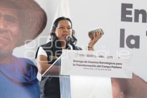 ANA LAURA ALTAMIRANO