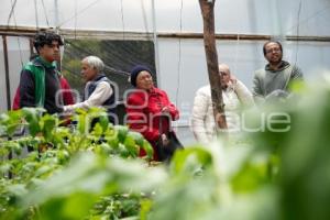 TLAXCALA . EJIDAL ANDRÉS AHUASHUATEPEC