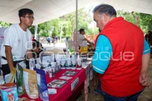 MERCADILLO DE LAS JUVENTUDES