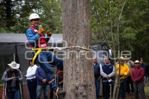 TLAXCALA . EJIDAL ANDRÉS AHUASHUATEPEC