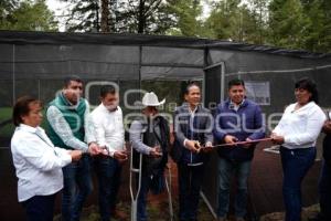 TLAXCALA . EJIDAL ANDRÉS AHUASHUATEPEC