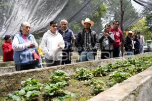 TLAXCALA . EJIDAL ANDRÉS AHUASHUATEPEC