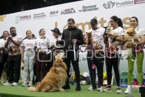 LOMITOS IMPARABLES POR AMOR A PUEBLA