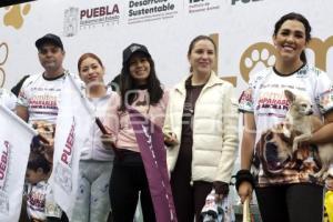 LOMITOS IMPARABLES POR AMOR A PUEBLA