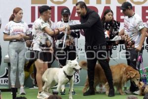 LOMITOS IMPARABLES POR AMOR A PUEBLA