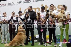 LOMITOS IMPARABLES POR AMOR A PUEBLA