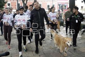 LOMITOS IMPARABLES POR AMOR A PUEBLA