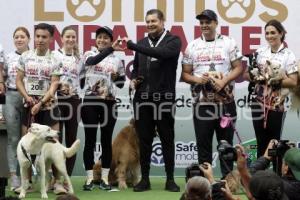 LOMITOS IMPARABLES POR AMOR A PUEBLA