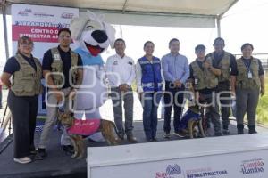 SAN ANDRÉS CHOLULA . CENTRO BIENESTAR ANIMAL