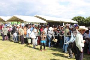 TIANGUISMANALCO . ENTREGA DE APOYOS CAMPO