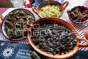 TEXMELUCAN . FERIA DEL CHILE POBLANO