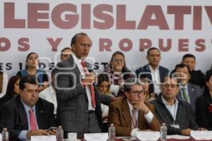 MORENA . LEGISLADORES FEDERALES