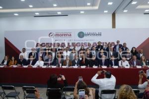 MORENA . LEGISLADORES FEDERALES