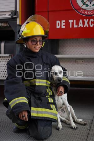 TLAXCALA . DÍA DEL BOMBERO