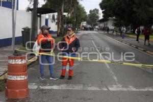 MANIFESTACIÓN NARANJITAS