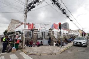 CONCIERTO . JULIÓN ALVAREZ