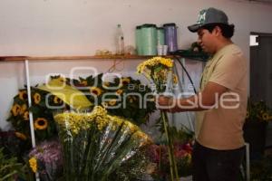 TLAXCALA . FLORES AMARILLAS