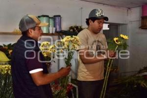 TLAXCALA . FLORES AMARILLAS