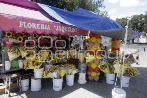 VENTA FLORES AMARILLAS