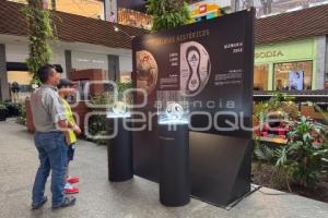 EXPOSICIÓN . BALONES HISTÓRICOS