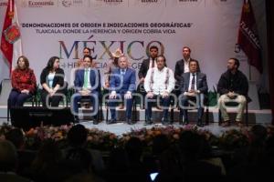 TLAXCALA . INDICACIÓN GEOGRÁFICA DEL PULQUE