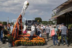 SAN ANDRÉS CHOLULA . SENDERO AL MICTLÁN