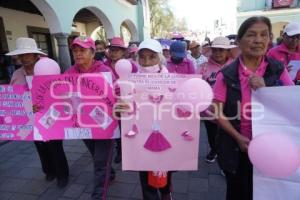 TLAXCALA . CAMINATA ROSA