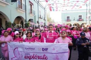 TLAXCALA . CAMINATA ROSA