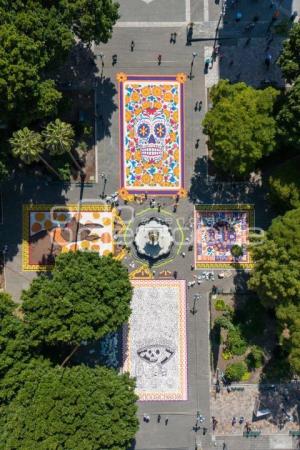 ZÓCALO . ALFOMBRA MONUMENTAL