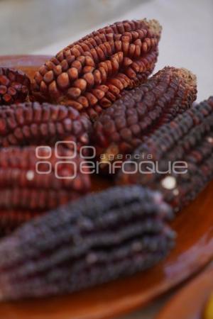 TLAXCALA . RECONOCIMIENTO METEPANTLE