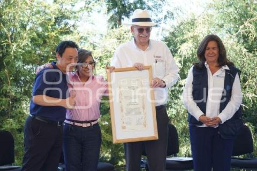 TLAXCALA . RECONOCIMIENTO METEPANTLE