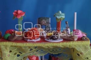 CALAVERITAS DE AZÚCAR . CENTRO DE REHABILITACIÓN